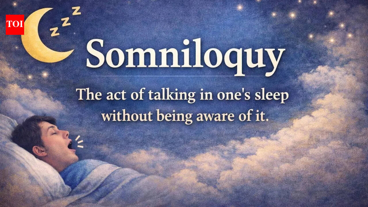 Word of the Day: Somniloquy