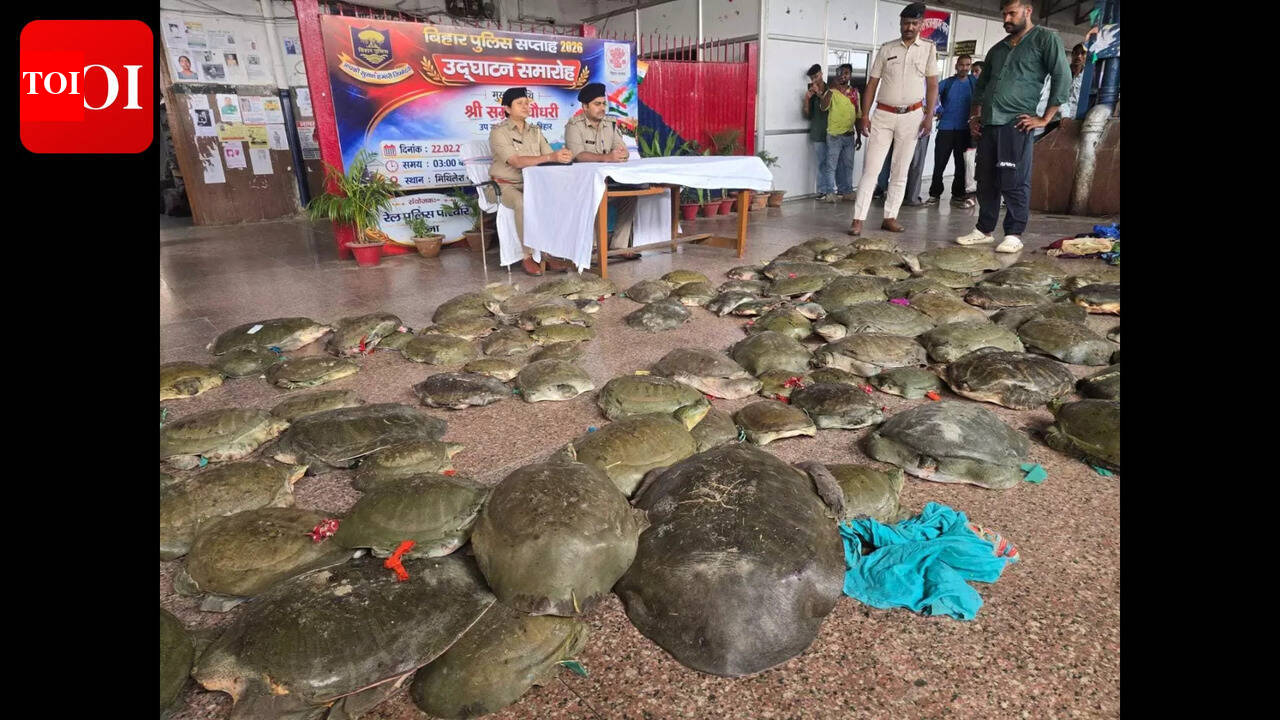 Over 100 live turtles rescued from train at Patna Junction, 5 held
