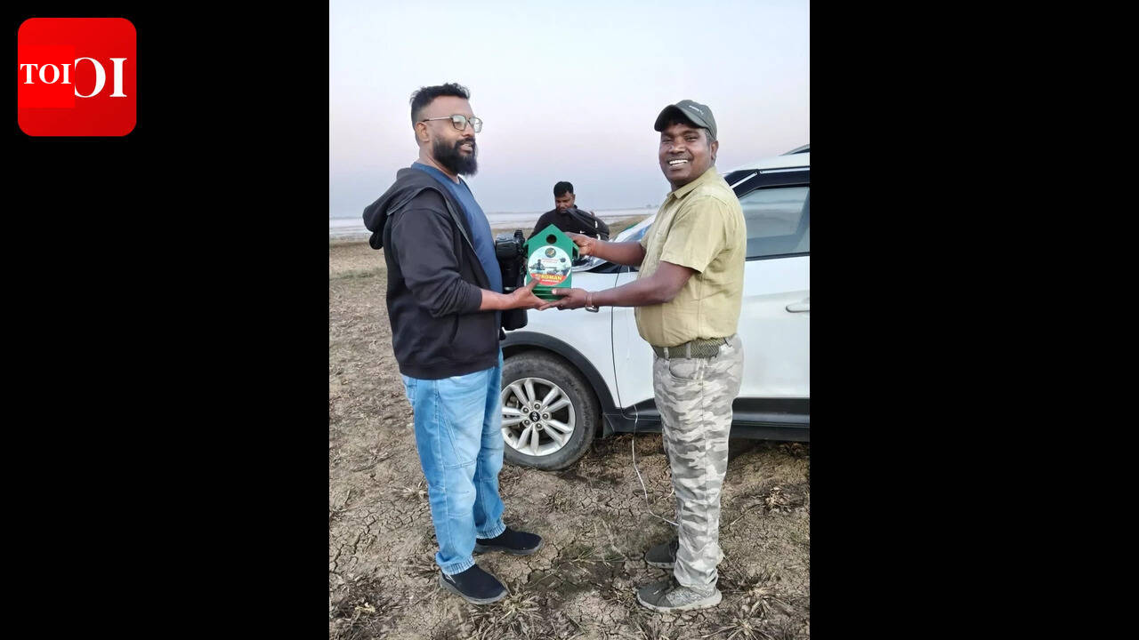 Saving the sparrows: Conservationists set up over 850 artificial nests for sparrows; 70% of them are already occupied
