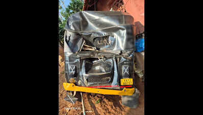 Jumbo runs riot at Nellihudikeri village, damages auto