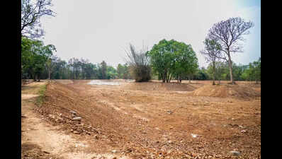 Community initiative breathes fresh life into CRPF campus lake in Bengaluru