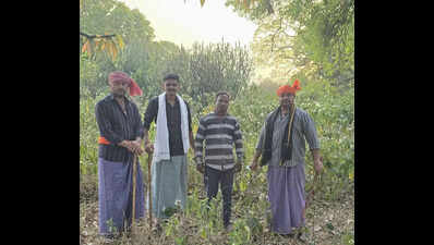 ‘Tribal’ cops end fugitive’s 18-year run in forest chase