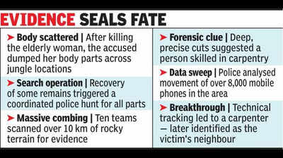 Carpenter’s precision in autopsy findings solves murder mystery