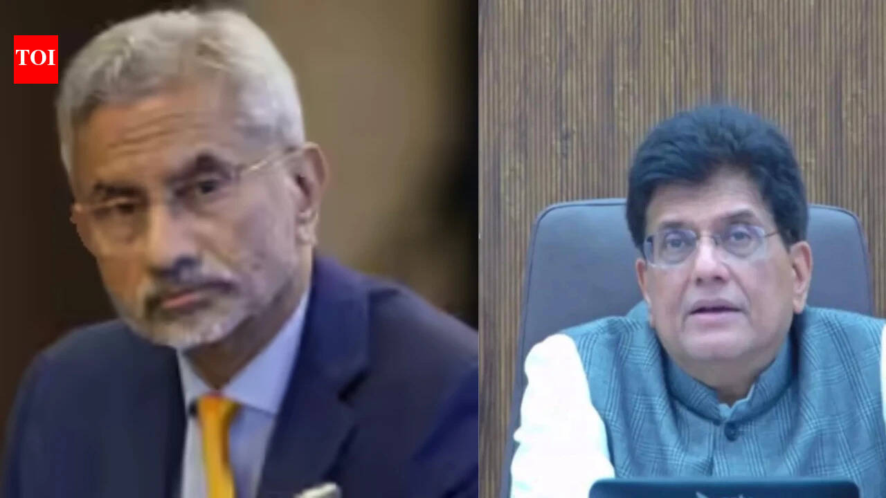 In bid to reset ties, Bangladesh envoy calls on EAM Jaishanakar, commerce minister Piyush Goyal | India Information – The Instances of India