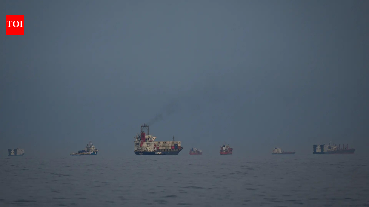 Coordination underway to enable plan for naval escorts for stranded ships, including Indian-flagged ones: DG Shipping to govt