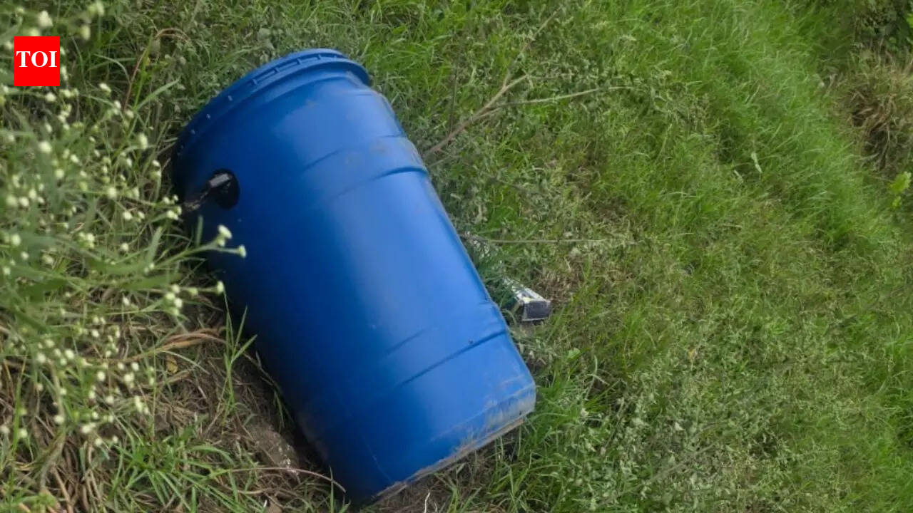 UP man sees reference to ‘blue drum’ in wife’s phone, lets her go with lover