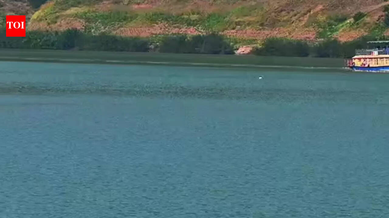 5 engineering students from Andhra Pradesh drown in Godavari river while clicking photo