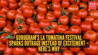 Gurugram’s La Tomatina festival sparks outrage instead of excitement – here’s why