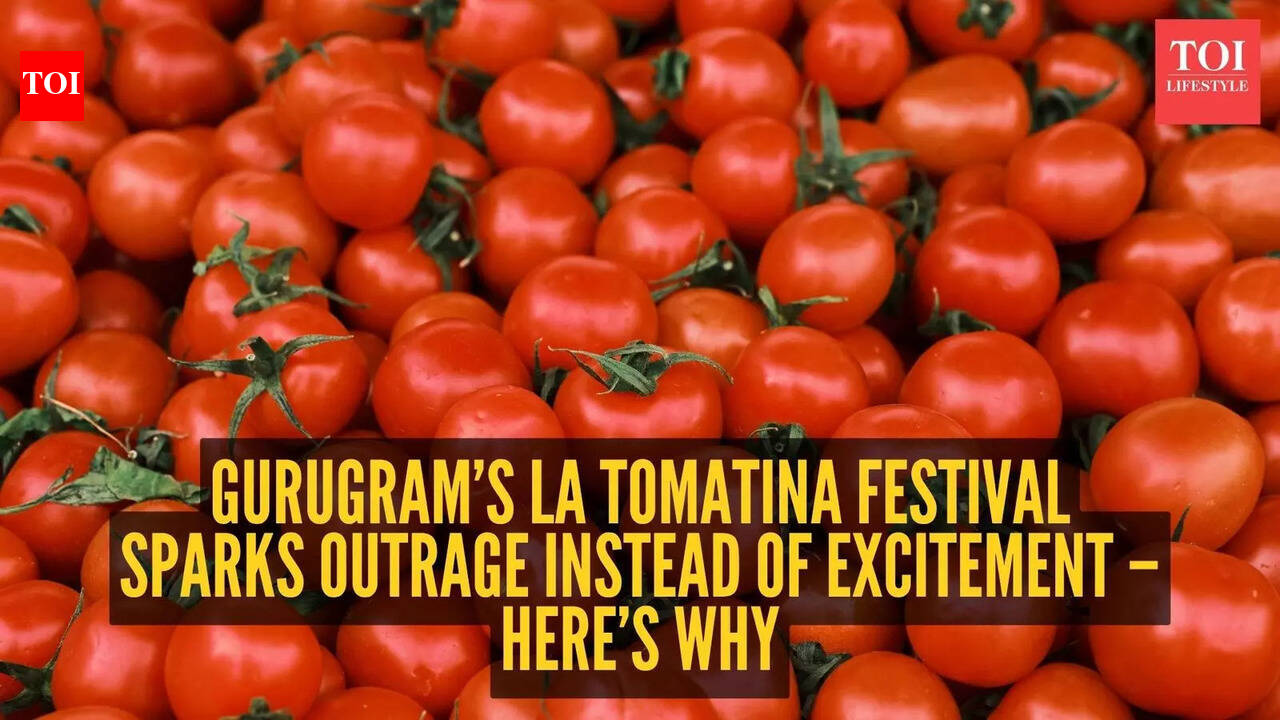 Gurugram’s La Tomatina festival sparks outrage instead of excitement – here’s why