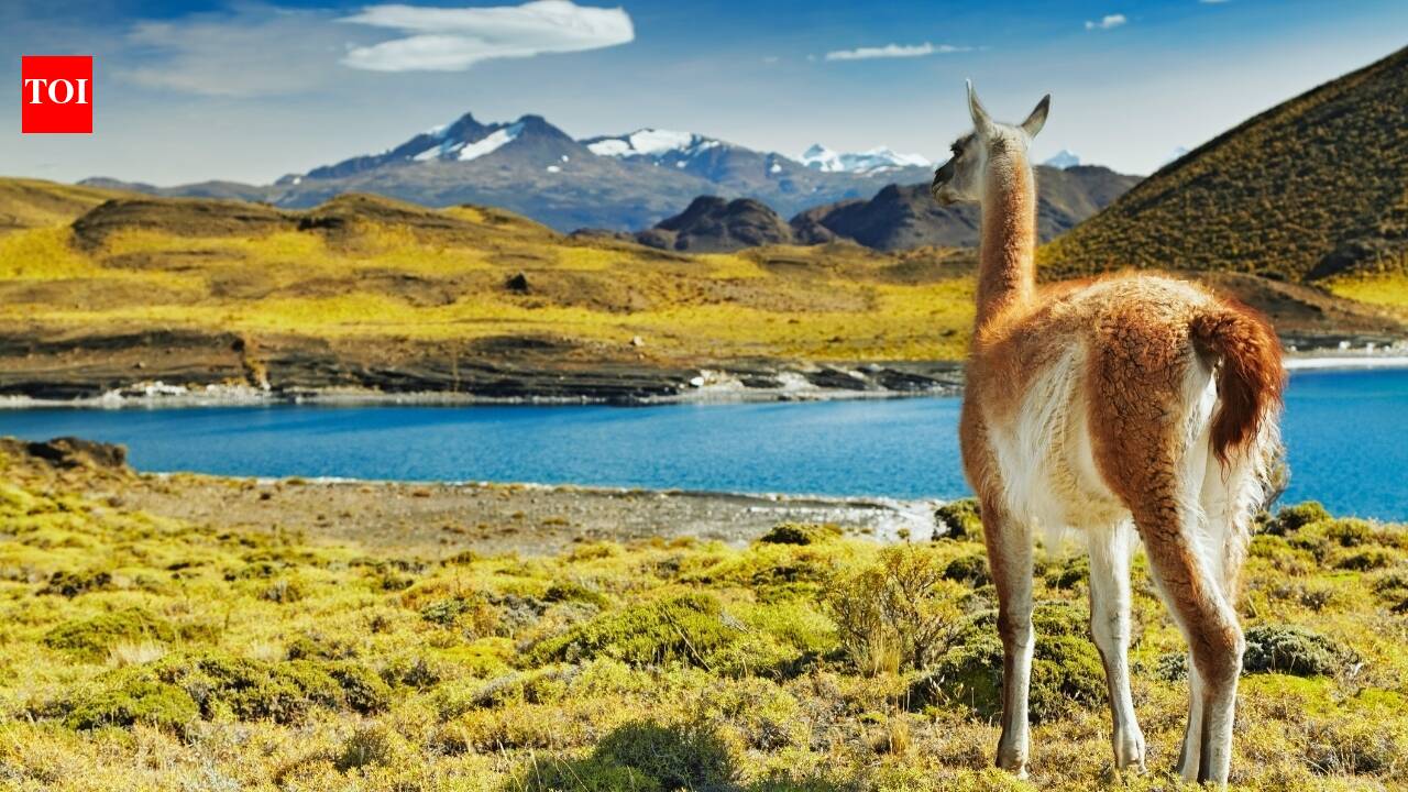 5 reasons why everyone is talking about Chile right now