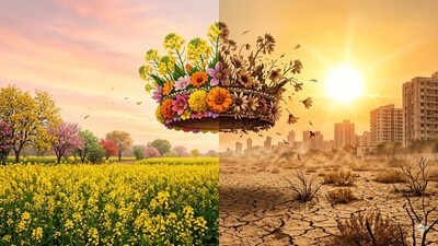 ‘Winter is coming,’ spring is not: Why India’s Rituraj is losing its throne