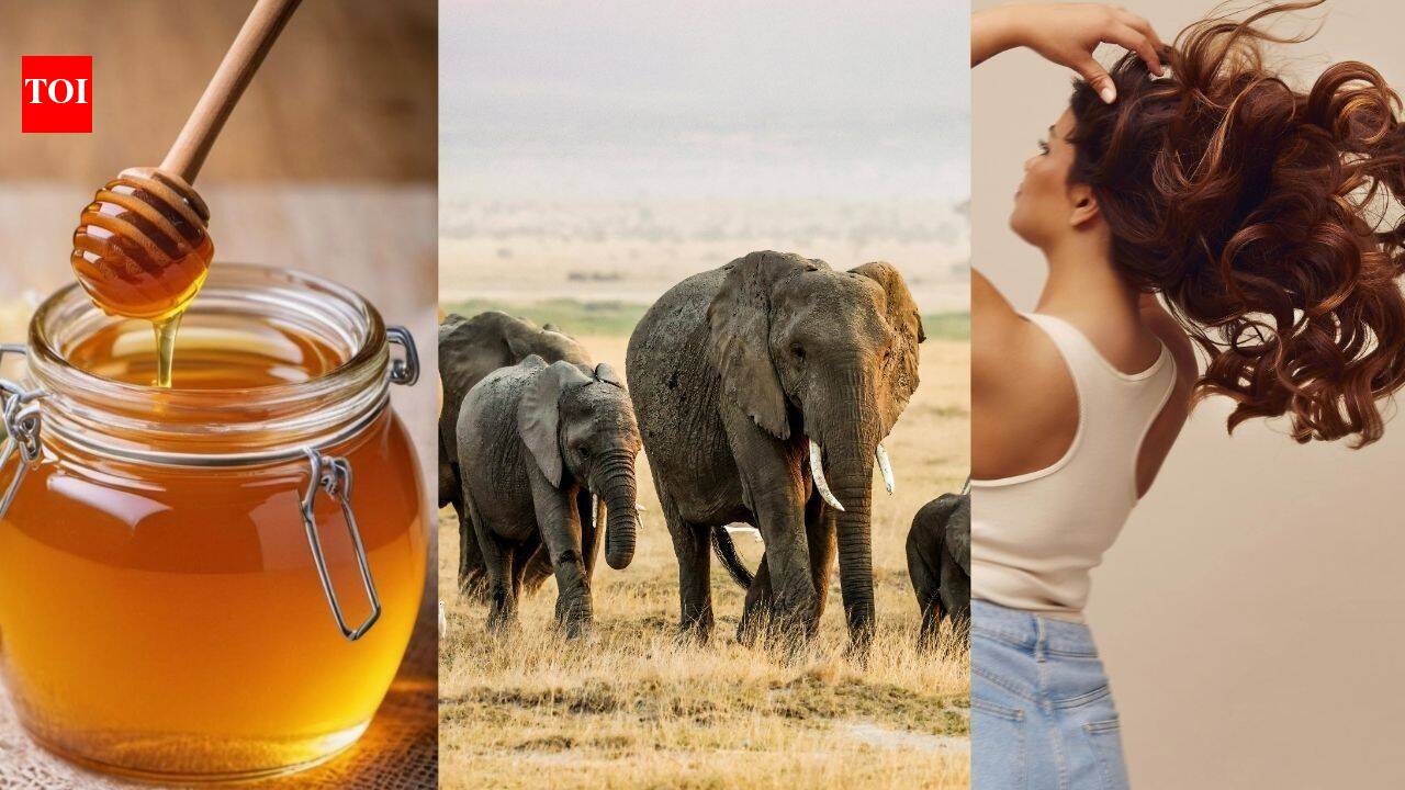 14 वैज्ञानिक तथ्य जो आप शायद नहीं जानते होंगे