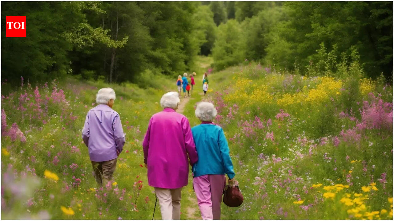 Immigration boost tied to drop in elderly mortality across US cities: Study