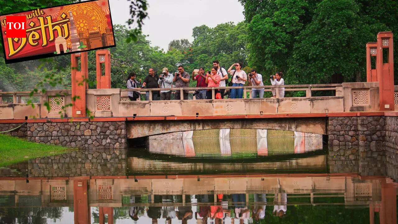 Zaike se art tak: Not just walks, but curated worlds