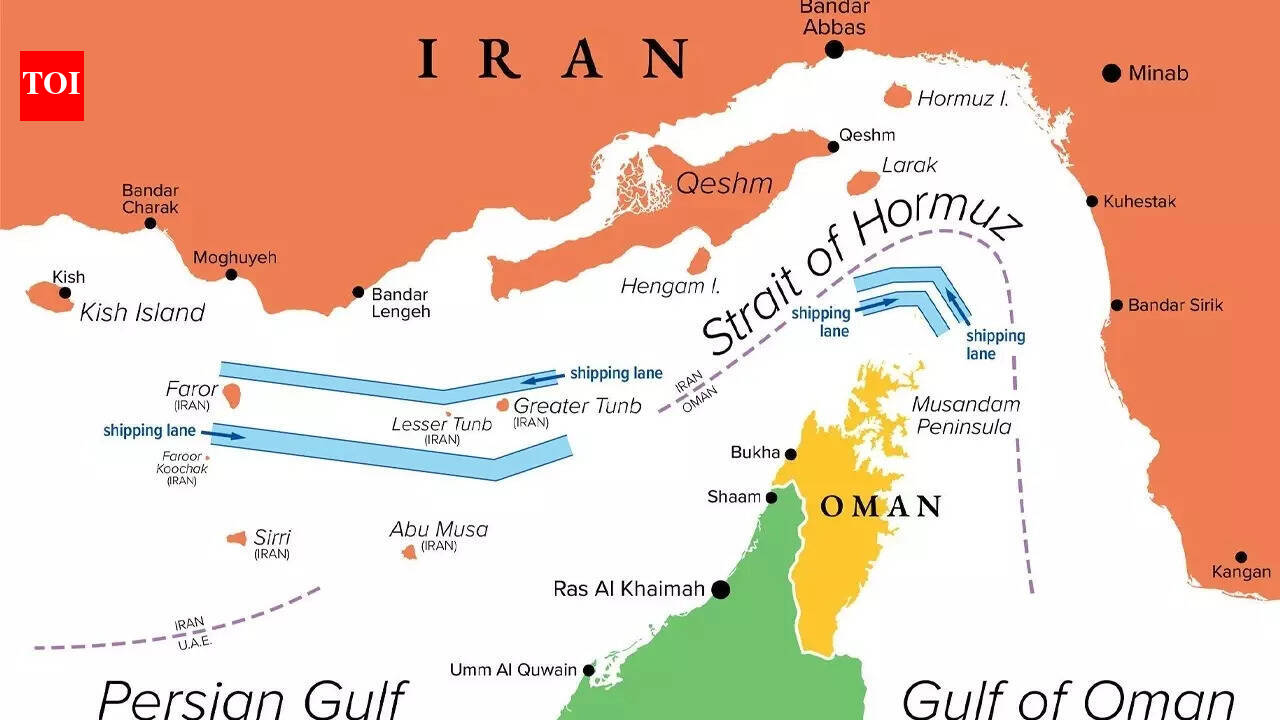 Securing LPG, LNG, crude oil: India plans evacuation for ships near Strait of Hormuz - here’s what’s being considered