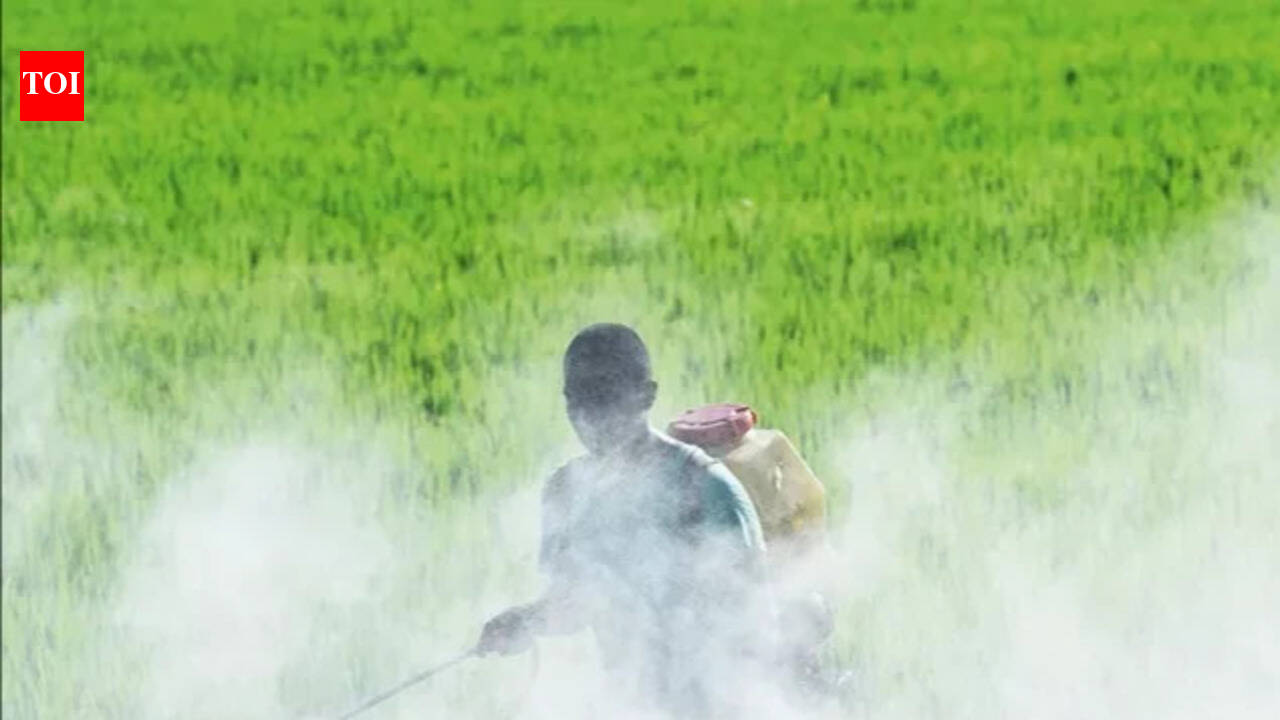 Iran shock hits fertilizer supply. But the answer may be up in the air