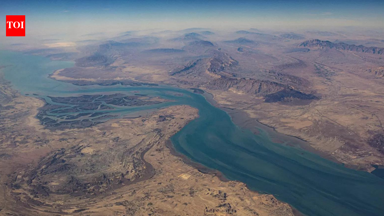 Over 20 nations issue joint statement condemning Iran's de facto closure of Hormuz Strait