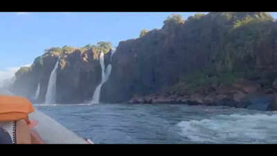  Professor says felt embarrassed as 'Delhi bros' created ruckus at Iguaçu Falls