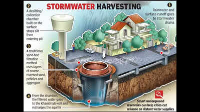 Technology, tradition reshape water use patterns in Gujarat