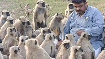 "I started feeding animals 17 years ago, and my life began to change": Ahmedabad’s ‘Monkey Man’ on how kindness altered his destiny