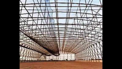 Light at the end of a ‘wild’tunnel for Raj GIB chicks