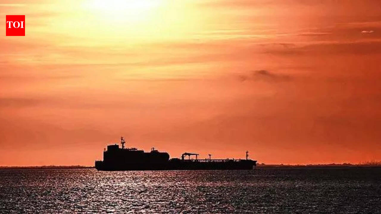 A harrowing time but home at last, recalls crew member of Indian-flagged ship