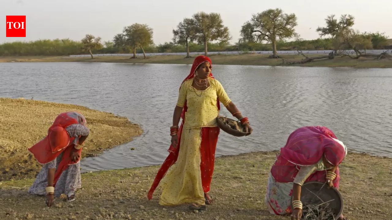 ​Blue saree brigade: Women at the heart of India’s water systems