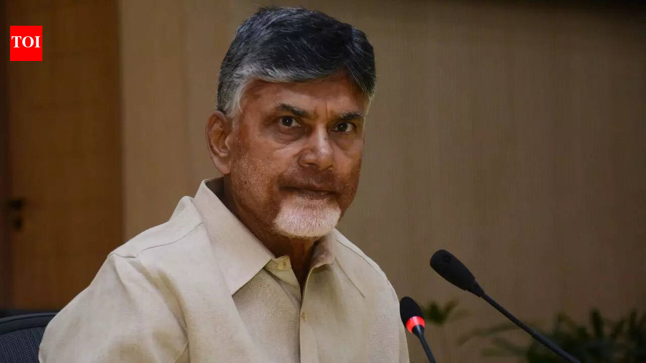 Andhra Pradesh’s biggest steel project: CM Chandrababu Naidu to lay foundation for Rs 1.36 lakh crore AMNS plant, 1 lakh jobs likely