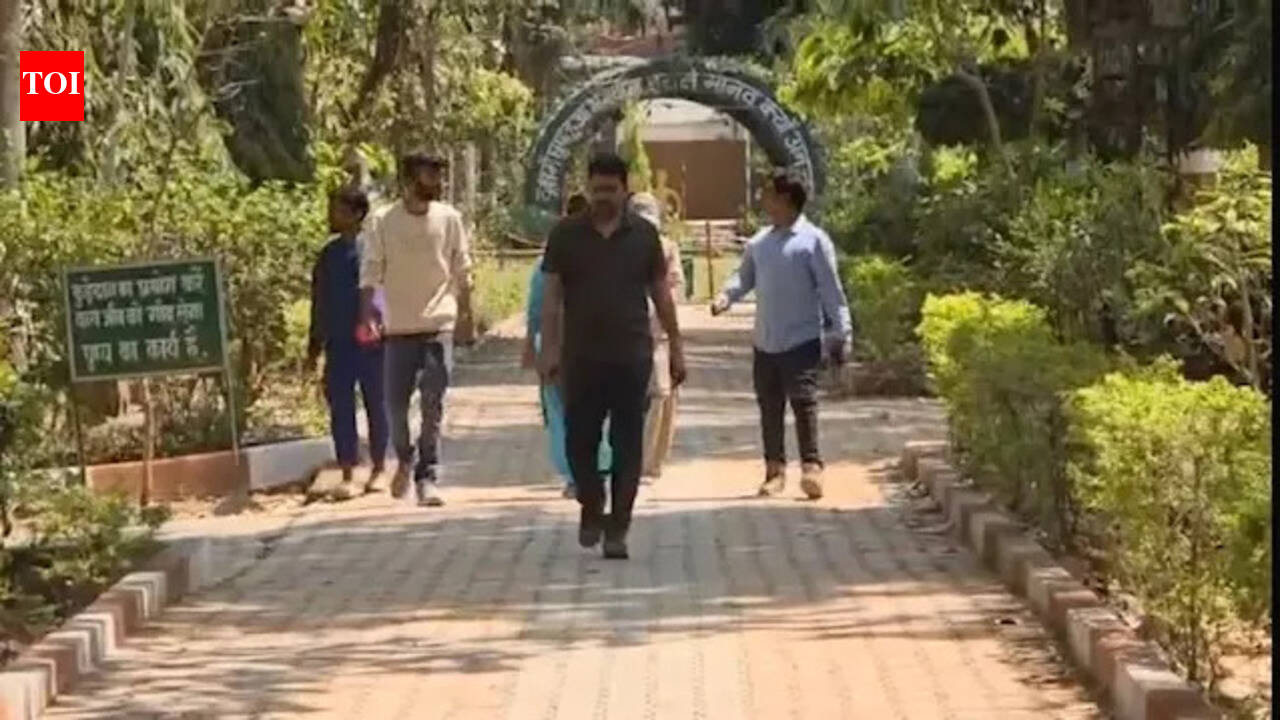 15 Deer killed in alleged stray dog attack in Chhattisgarh rescue park, staff suspended