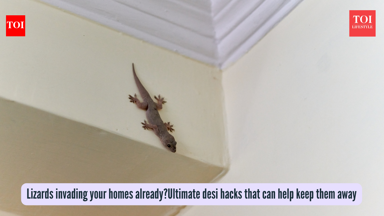 Lizards invading your homes already? Ultimate desi hacks that can help keep them away