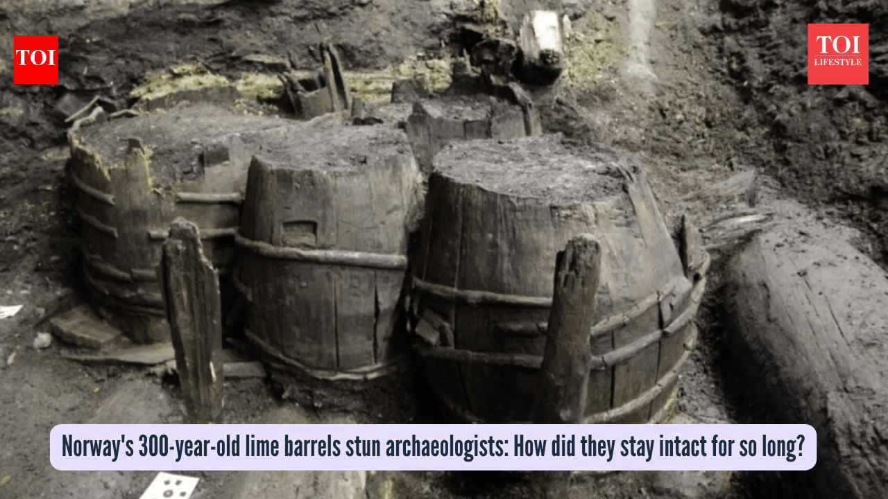 Norway's 300-year-old lime barrels stun archaeologists: How did they stay intact for so long?