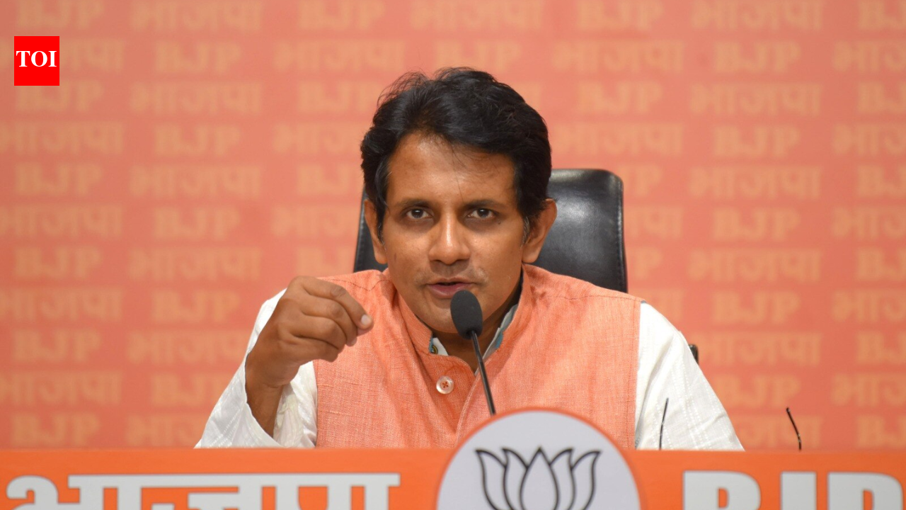 'Can’t survive without terrorism': BJP reacts to ex-Pakistan envoy's remarks on striking India