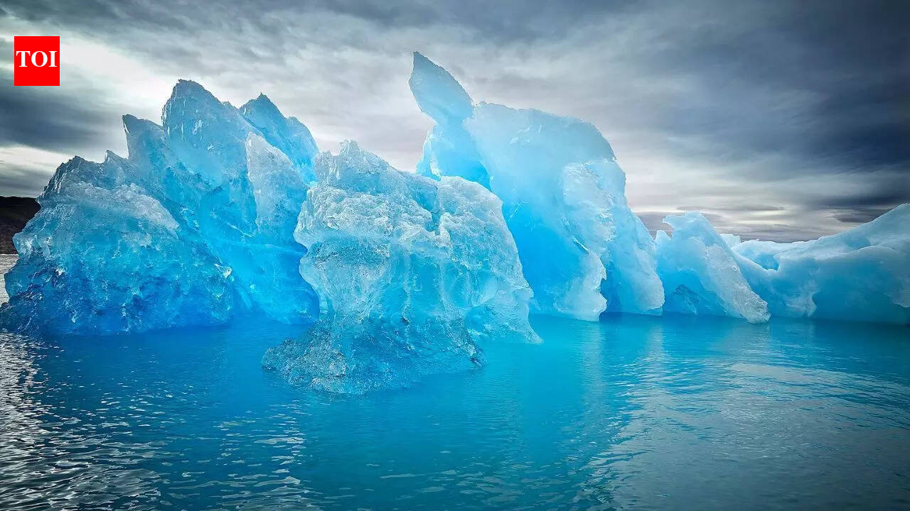 Why Greenland has almost ‘no trees’ and what makes it so unusual; the reason will shock you