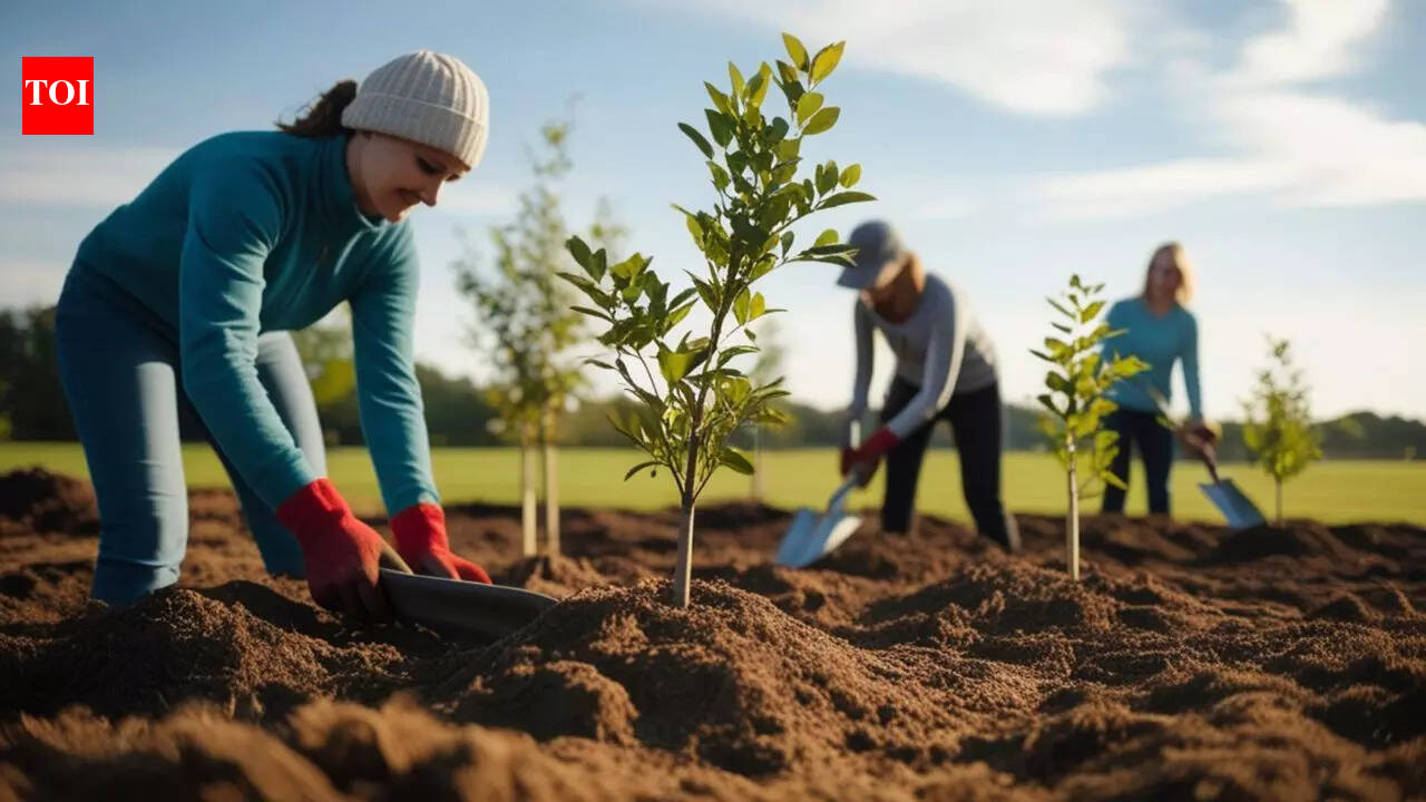Think planting trees will save the planet from global warming? Science says it’s not that simple