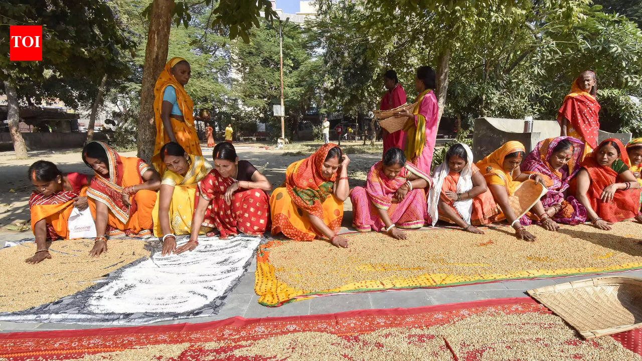 Patna zoo being prepared for Chhath devotees