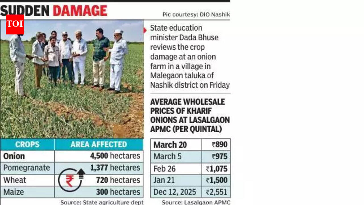 Unseasonal rains hit 4,500 ha of summer onion crops in Nashik | Nashik ...