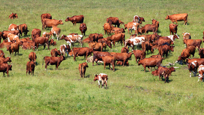  Inside the AI farm startup Peter Thiel backed at a $2 billion valuation