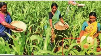 Panel set up for new bill for empowerment of women farmers in Maharashtra