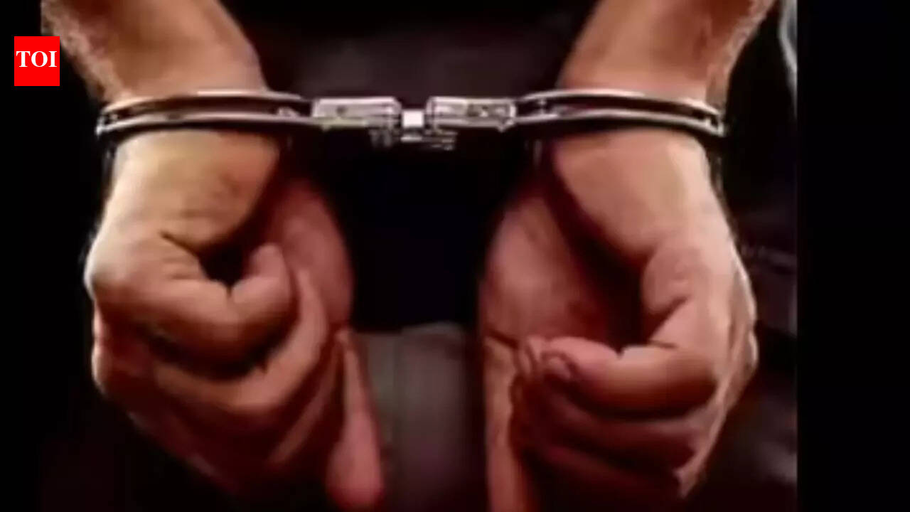 अमेरिका में ट्रिपल मर्डर: उत्तरी कैरोलिना में कैंपर के अंदर 3 लोगों के मृत पाए जाने के बाद एक व्यक्ति को गिरफ्तार किया गया