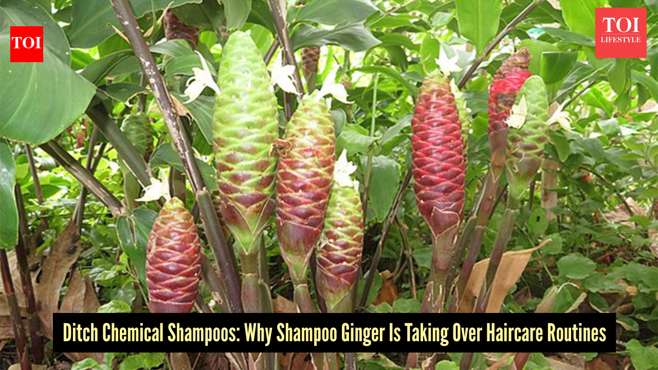 Is shampoo ginger aka awapuhi good for hair? Here’s why it’s going viral