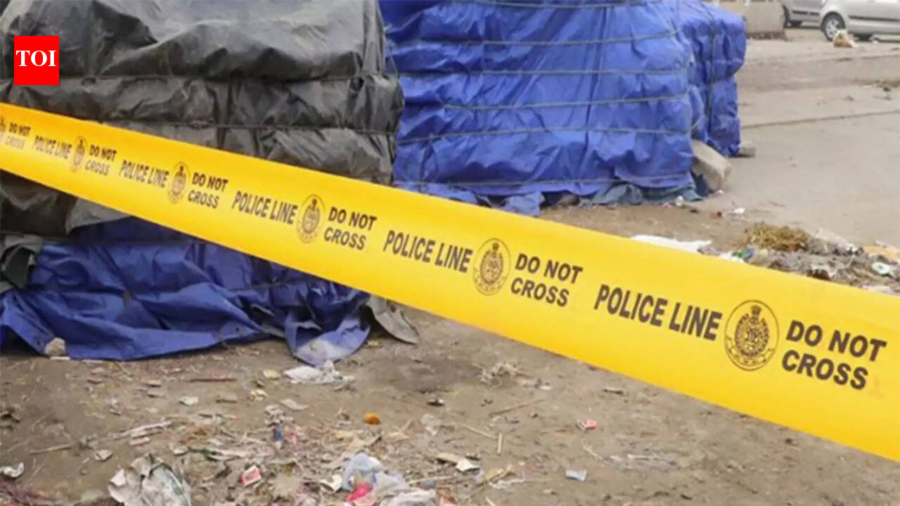 State records 5.6% rise in crimes against women in 2025 compared to 2024: CM