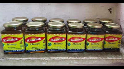 Agra woman turns entrepreneur, builds Rs 25L beekeeping venture