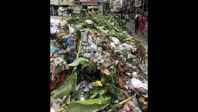 Garbage collection halt sparks fresh crisis fears; FIRs against contractors in Bengaluru