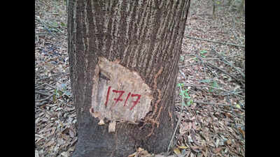 Centre flags NIT-R ‘plan’ to fell 2,000 trees for new building