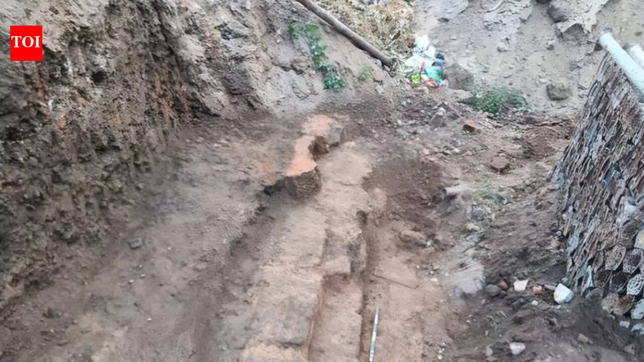 Survey finds ‘tunnel’, archaeological remains around Puri Jagannath Temple