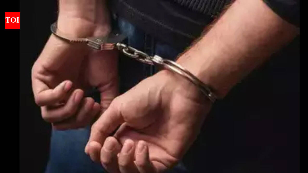 Florida man arrested after fatal hit-and-run in New York: 'Didn’t do the moral thing'