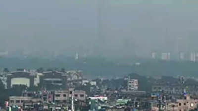 Better air quality, no winter stubble burning in Delhi: Eco Survey