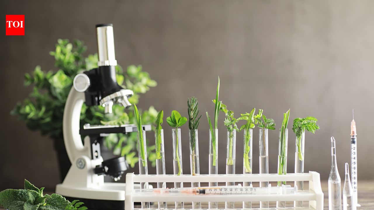 How Science, Testing, and Research Shape Modern Herbal Medicine: The rigorous path of R & D