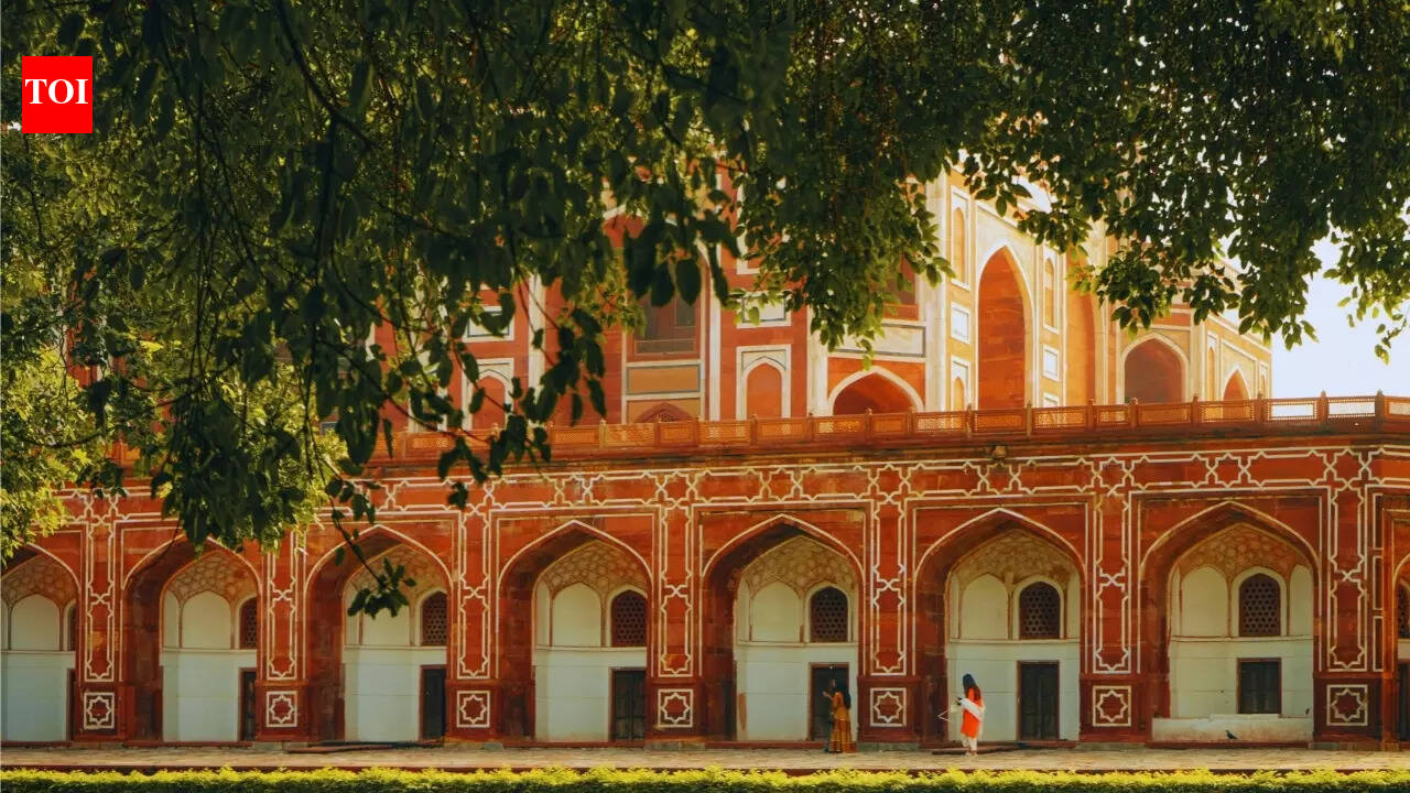 American woman shares things she does differently after moving to India | - The Times of India