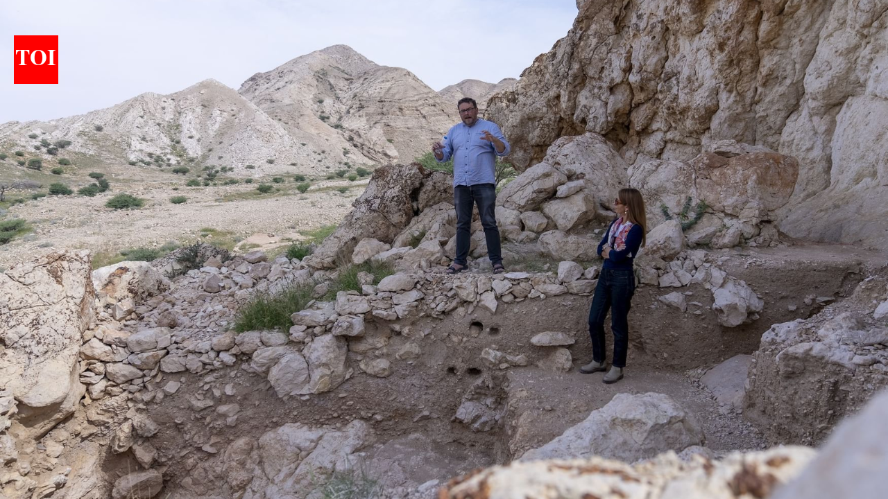 Ancient human habitation unearthed: 125,000-year-old settlement discovered in Sharjah’s Buhais Rockshelter